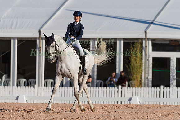 AILSA  WATES AND WOODLANDS PERSUASION