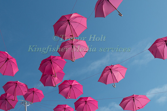 Pink umbrellas in the market at La Rochelle
