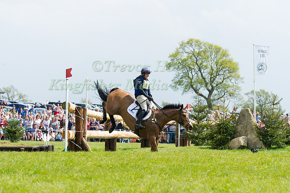 mitsubishi Motors  Badminton Horse Trials, Badminton, South Gloucestershire