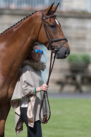 LAURA COLLETT (GBR) AND MR BASS AT THE EQUI-TREK CCI *** FINAL HORSE INSPECTION OF THE 2017 BRAMHAM INTERNATIONAL HORSE TRIALS