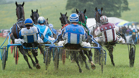 Helifield Harness Racing