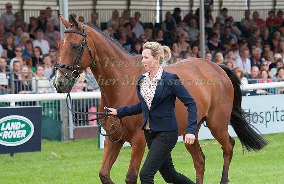Hannah Bate (GBR) and Finbury Hill at the 1st horse inspection