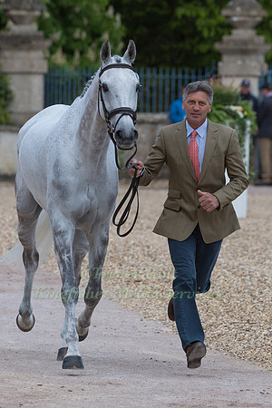 Andrew Nicholson (NZL) and  Swallow Springs