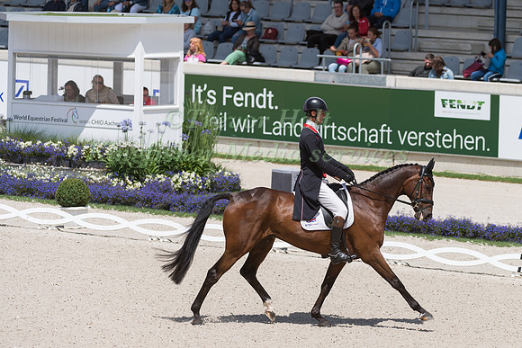 WILLIAM FOX-PITT AND LITTLE FIRE