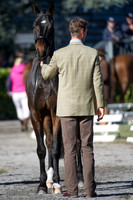 William Fox-Pitt and Chilli Morning