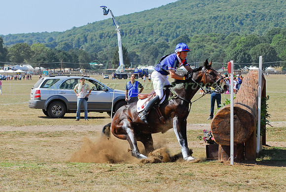 Arnaud Boiteau and Expo Du Moulin