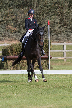 ROSALIND CANTER AND PENCOS CROWN JEWEL
