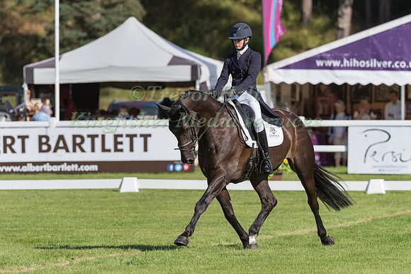 STORM STRAKER  AND FEVER PITCH