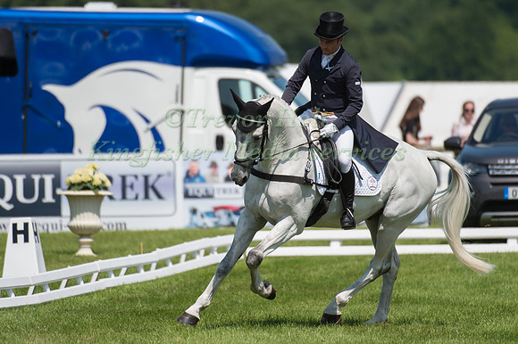 Ben Hobday (GBR) riding Arco BB