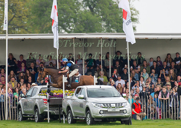 Jean Teulere  of France riding Matelot du Grand Val