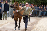 Joseph Murphy (IRL) and Sportsfield Othello