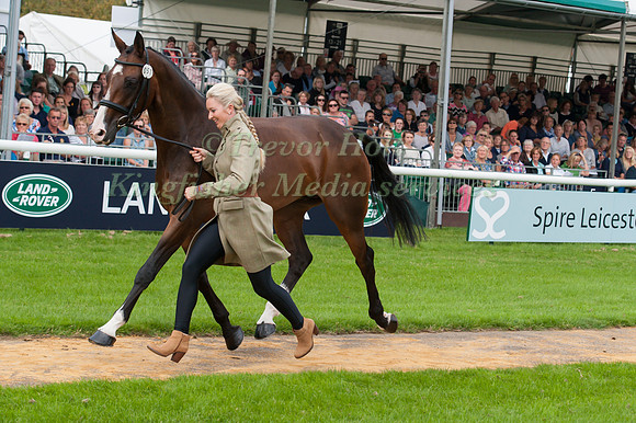 Georgie Spence (GBR) and Wii Limbo at the 1st horse inspection
