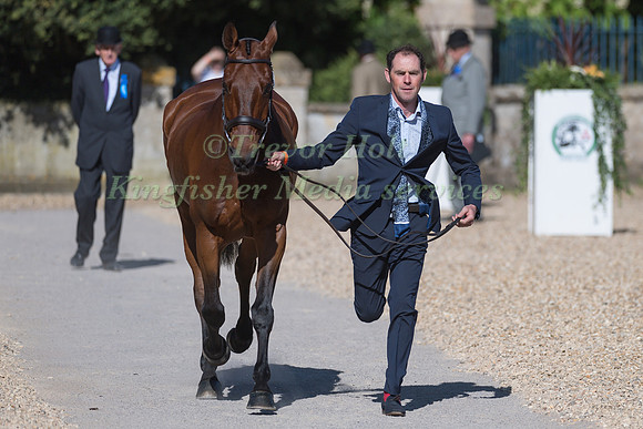 JOSEPH MURPHY (IRL) AND  SPORTSFIELD OTHELLO
