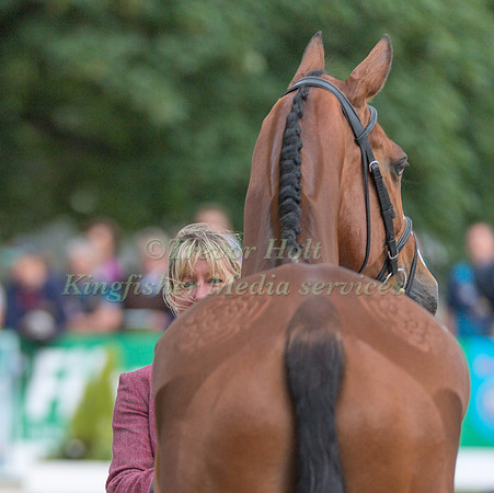 NICOLA WILSON (GBR) AND ONE TWO MANY AT THE EQUI-TREK CCI *** FINAL HORSE INSPECTION OF THE 2017 BRAMHAM INTERNATIONAL HORSE TRIALS