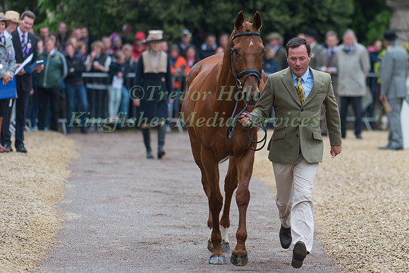 Michael Ryan of Ireland and Ballylynch Adventure