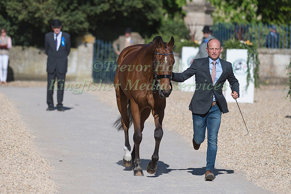 MICHAEL JUNG GER) AND  LA BIOSTHETIQUE - SAM FBW