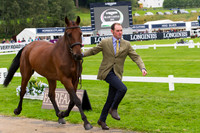Joseph Murphy of Ireland with Sportsfield Othello