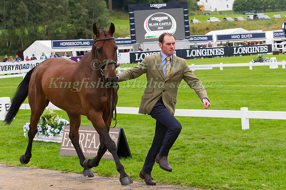 Joseph Murphy of Ireland with Sportsfield Othello