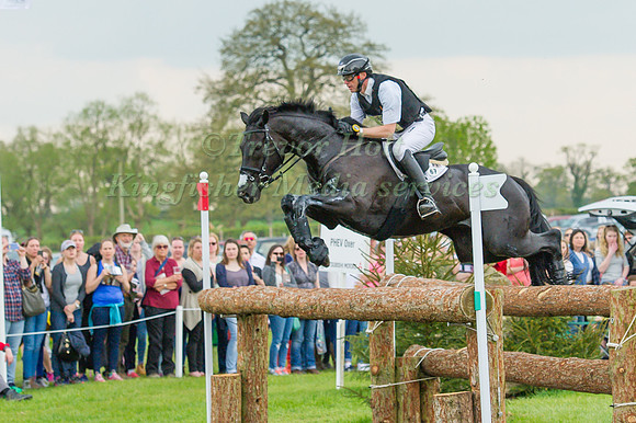 Andreas Dibowski of Germany riding FRH Butts Avedon
