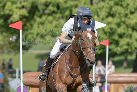 TOM MCEWEN AND  FIGARO VAN HET BROEKXHOF