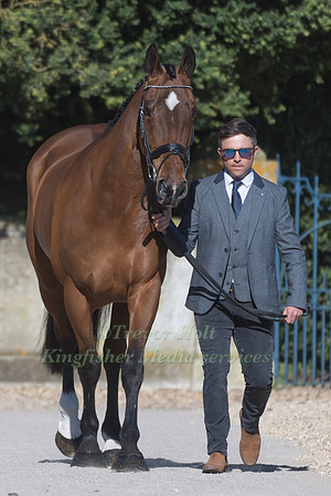 BEN HOBDAY  (GBR) AND  MULRY'S ERROR