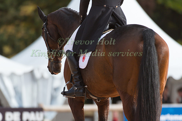 Nicolas Astier of France riding Piaf De B'Neville