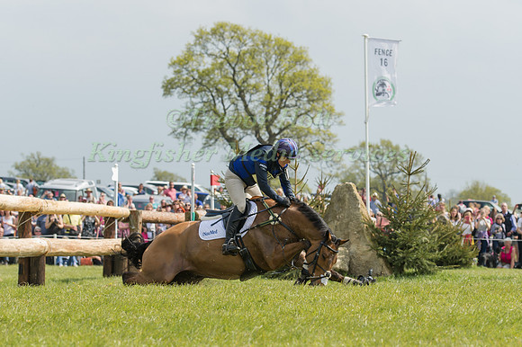 Mitsubishi Motors  Badminton Horse Trials, Badminton, South Gloucestershire