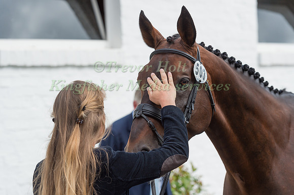 LARA DE LIEDEKERKE (BEL) AND AVEROUGE DES QUATRE CHENES
