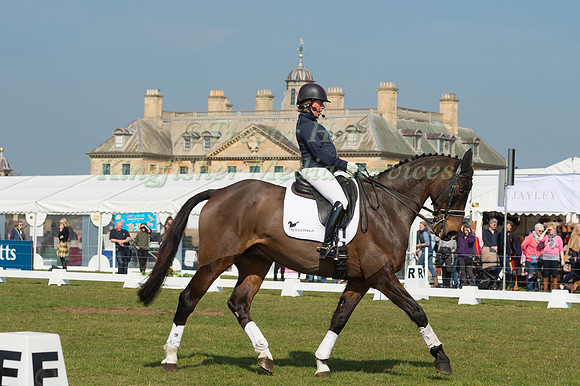 ROS CANTER AND ALLSTAR B