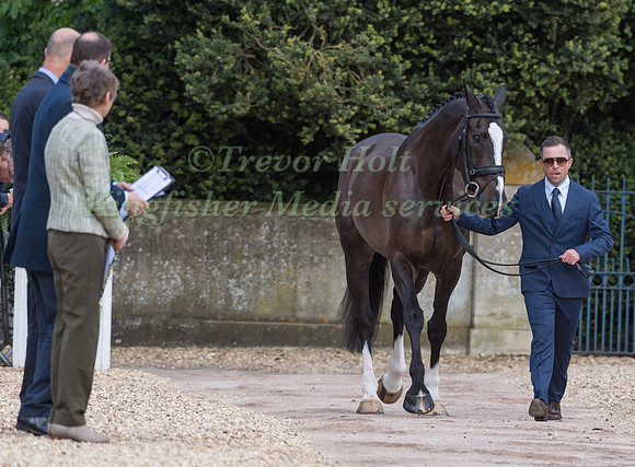 Nicola Wilson (GBR) and  Bulana