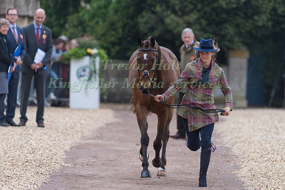 Katie Preston (GBR) and  Templar Justice