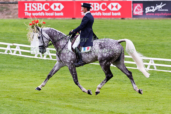 Lionel Guyon and Metisse De lalou