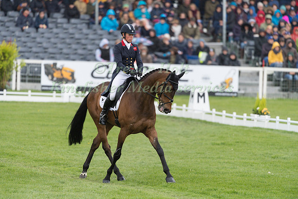Izzy Taylor (GBR) and  Springpower