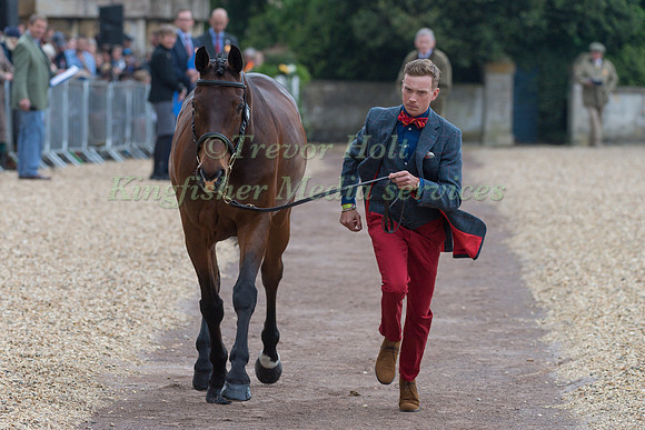 David Britnell (GBR) and  Continuity