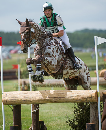 ALEXANDER WHEWALL  RIDING  SALT AND PEPPER
