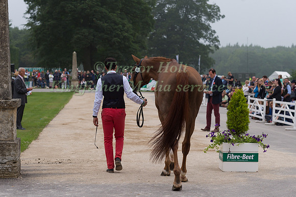 THIBAULT  FOURNIER (FRA) AND SINIANI DE LATHUS