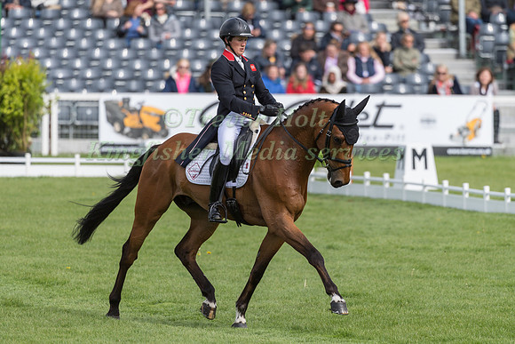Tom McEwen (GBR) and  Toledo de Kerser