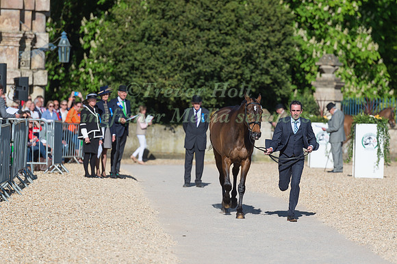 ALAN NOLAN (IRL) AND  BRONZE FLIGHT