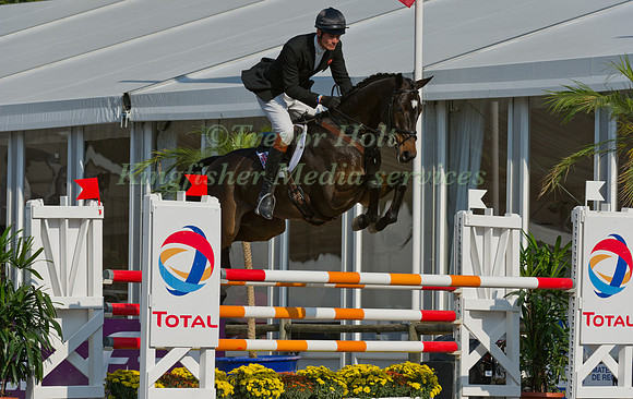 William Fox-Pitt and Lionheart