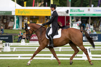 ARTHUR  DUFFORT (FRA) AND HERBST GOLDEN ECLIPSE TAKING PART IN THE DRESSAGE PHASE OF THE  CCI THREE STAR COMPETITION AT THE 2017 EQUI-TREK BRAMHAM INTERNATIONAL HORSE TRIALS