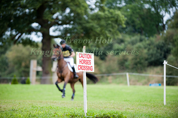 Horses Crossing Sign