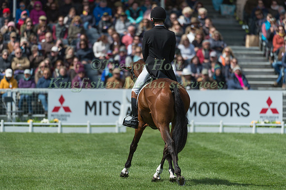 Tom Jackson (GBR) riding Waltham Fiddlers Find in the Dressage phase  of  the 2017 Mitsubishi Motors  Badminton Horse Trials