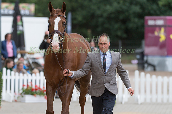 BLYTH TAITH (NZL) AND HAVANNA