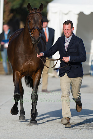 Lawrence Hunt of Great Britain and  Wie Donna's Nieuwmoed