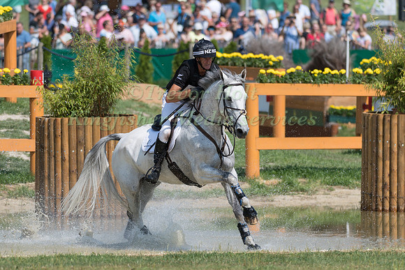 MARK TODD (NZL) AND KILTUBRID RHAPSODY