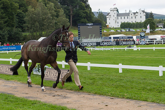 Wills Oakden of Great Britain with Greystone Midnight Melody