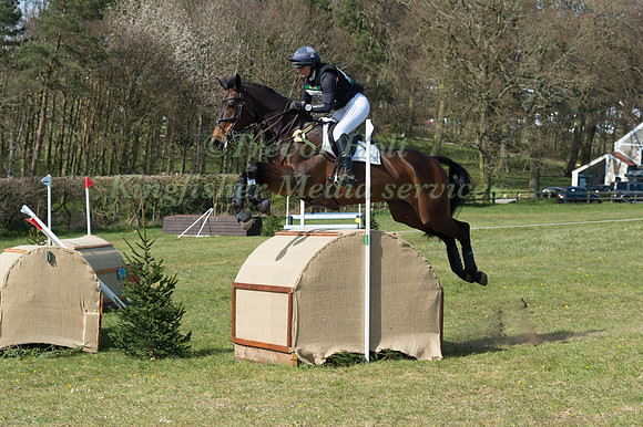 PIGGY MARCH RIDING BROOKFIELD QUALITY