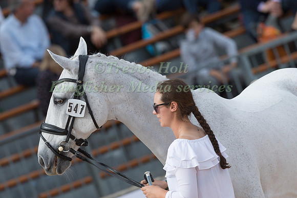 SOFIA  SJOBORG AND DHI MIGHTY DWIGHT  AT THE FINAL HORSE INSPECT