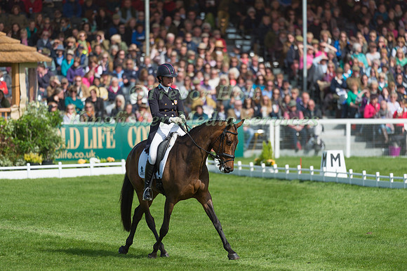 Lauren Kieffer (USA) riding Veronica in the Dressage phase  of  the 2017 Mitsubishi Motors  Badminton Horse Trials