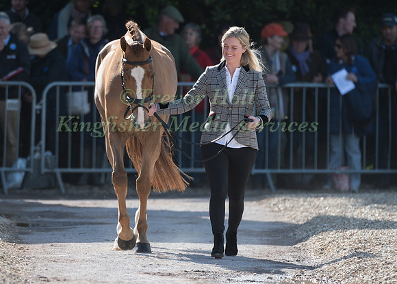 CLARE ABBOTT (IRL) AND  EURO PRINCE